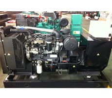 帕金斯柴油發(fā)電機組